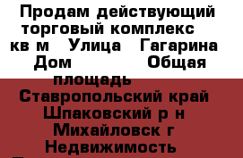 Продам действующий торговый комплекс 150кв.м › Улица ­ Гагарина › Дом ­ 170/13 › Общая площадь ­ 150 - Ставропольский край, Шпаковский р-н, Михайловск г. Недвижимость » Помещения продажа   . Ставропольский край